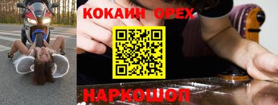 mdpv Новодвинск