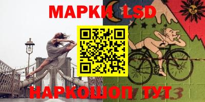прущие грибы Новозыбков
