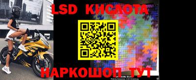прущие грибы Новозыбков