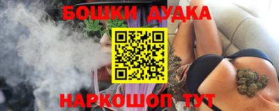 прущие грибы Новозыбков