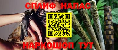 mdpv Новодвинск