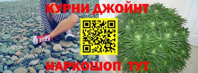 mdpv Новодвинск