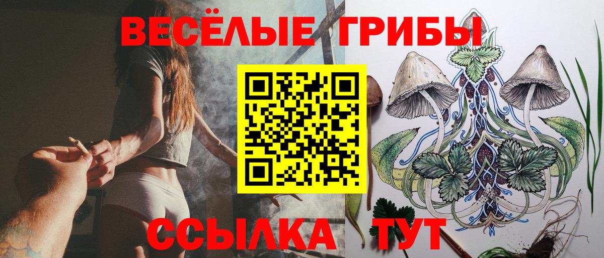 Псилоцибиновые грибы прущие грибы  Вход с VPN  Советский 